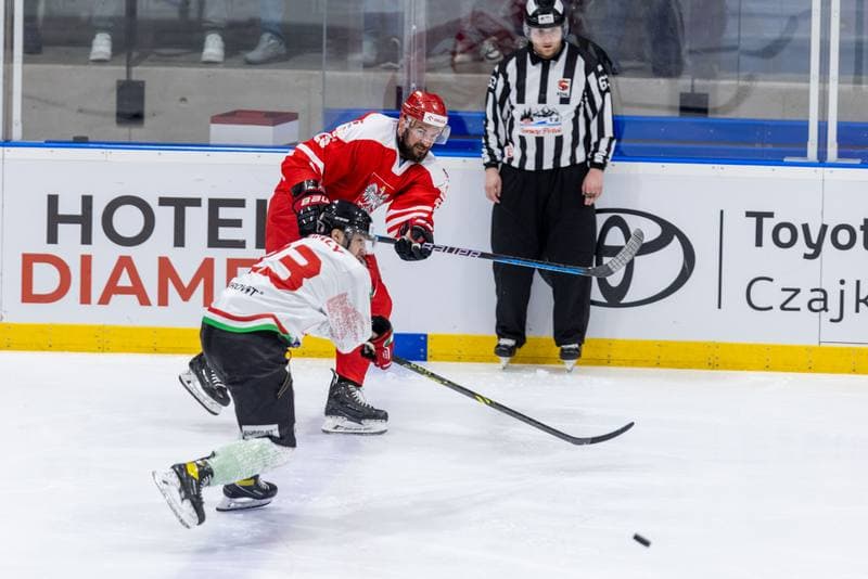 Ice Hockey. Friendly Match. Poland - Hungary. 21.04.2023