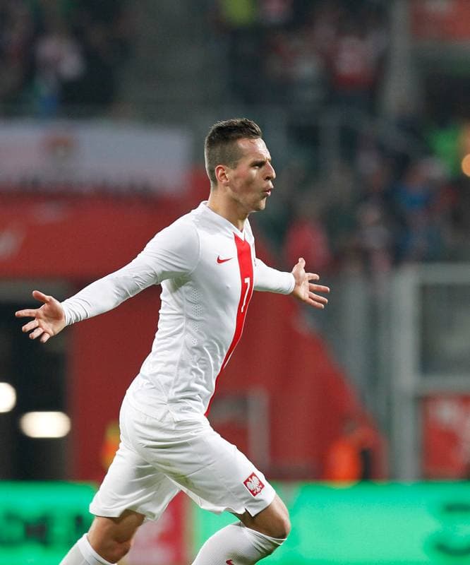 Football. International Friendly. Poland - Switzerland. 18.11.2014