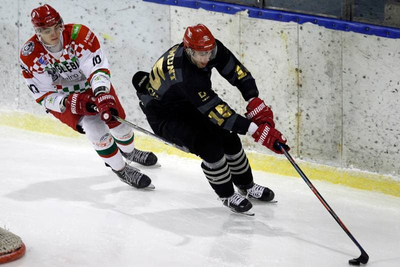 Ice Hockey. Polska Hokej Liga. Zaglebie Sosnowiec - Comarch Cracovia. 22.01.2019