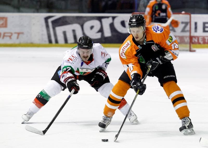 Ice Hockey. Polska Hokej Liga. GKS Tychy - JKH GKS Jastrzebie. 30.11.2014