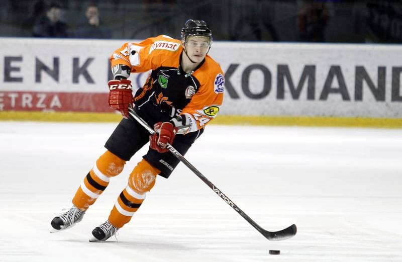 Ice Hockey. Polska Hokej Liga. GKS Tychy - JKH GKS Jastrzebie. 30.11.2014