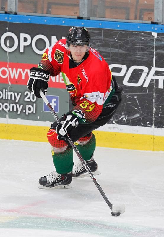 Ice Hockey. Polska Hokej Liga. HC GKS Katowice - Naprzod Janow. 10.02.2015