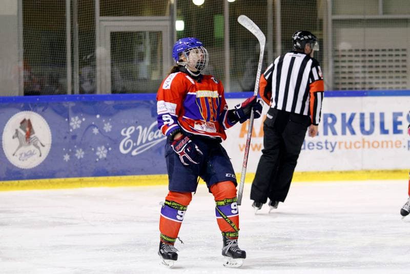 Ice Hockey. PLHK. Naprzod Janow - Polonia Bytom. 24.02.2018