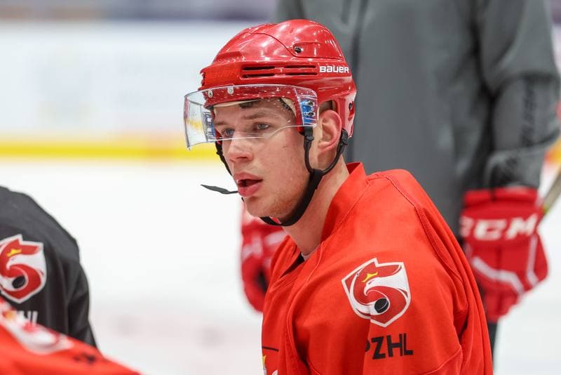 Ice Hockey. Poland national team. Training. 08.11.2023