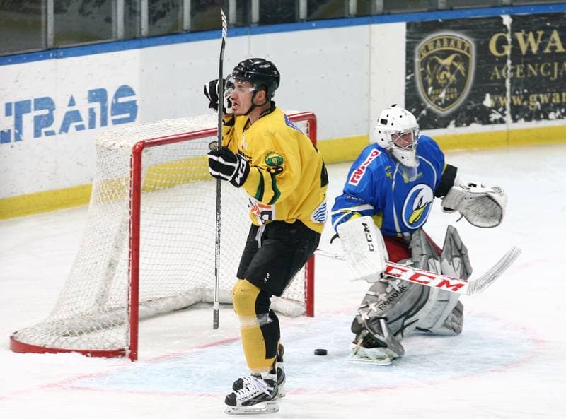 Ice Hockey. Polska Hokej Liga. HC GKS Katowice - Orlik Opole. 27.01.2015