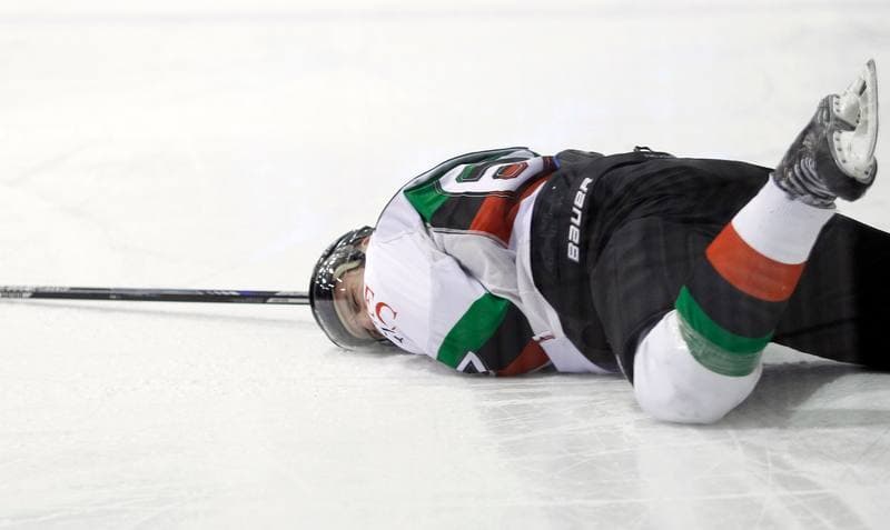 Ice Hockey. Polska Hokej Liga. GKS Tychy - Ciarko KH Sanok. 23.01.2015