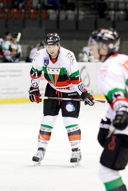 Ice Hockey. Polska Hokej Liga. GKS Tychy - Comarch Cracovia Krakow. 19.01.2014
