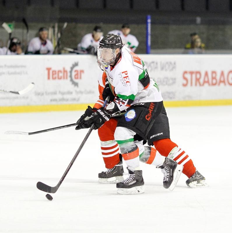 Ice Hockey. Polska Hokej Liga. GKS Tychy - Comarch Cracovia Krakow. 19.01.2014