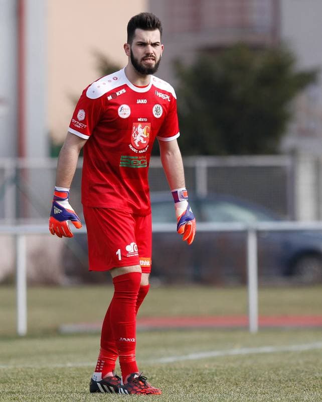 Football. Friendly Match. FC Hradec Kralove - GKS Katowice. 14.02.2015
