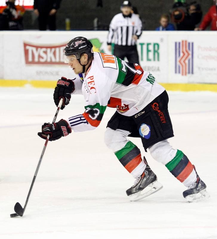 Ice Hockey. Polska Hokej Liga. GKS Tychy - JKH GKS Jastrzebie. 30.11.2014