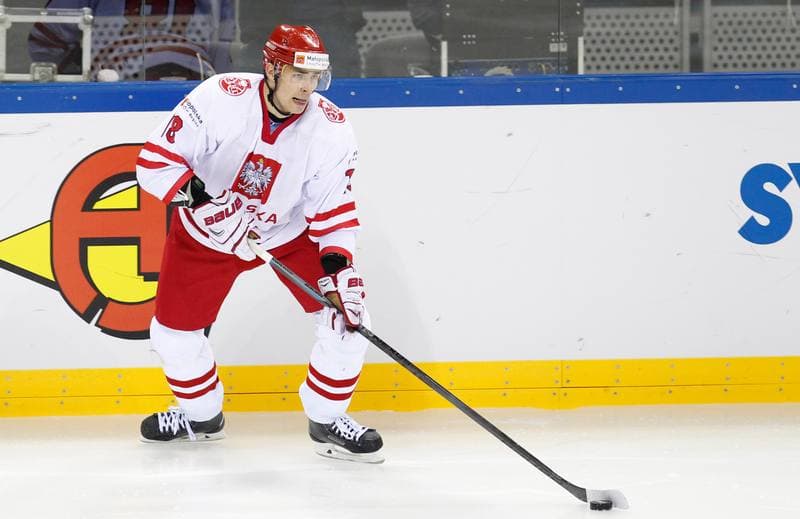 Ice Hockey. IIHF World Championship Division 1A. Poland - Japan. 20.04.2015