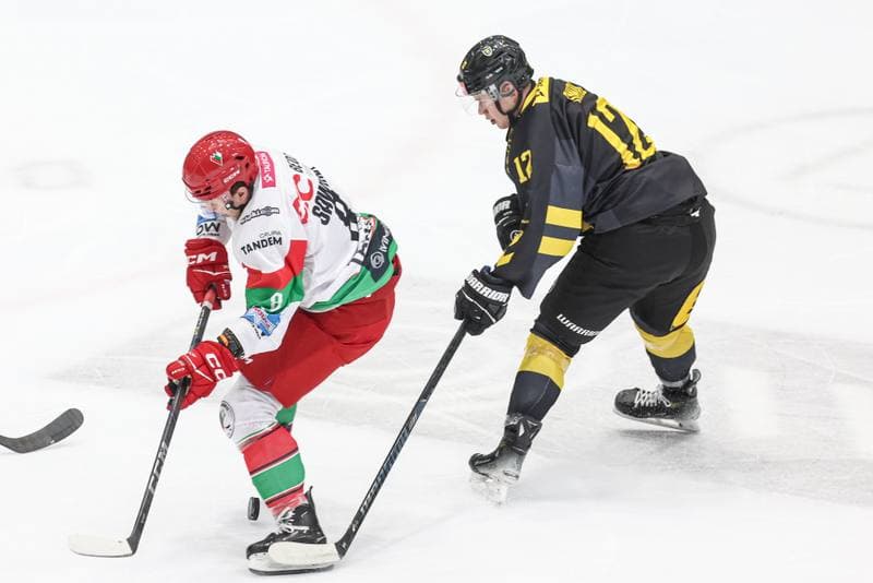 Ice Hockey. Tauron Hokej Liga. EC Bedzin Zaglebie Sosnowiec - GKS Katowice. 01.12.2024