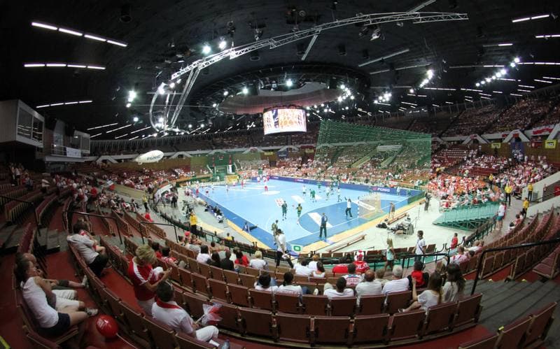 Handball. World Championship Qualifiers. Poland - Lithuania. 17.06.2012