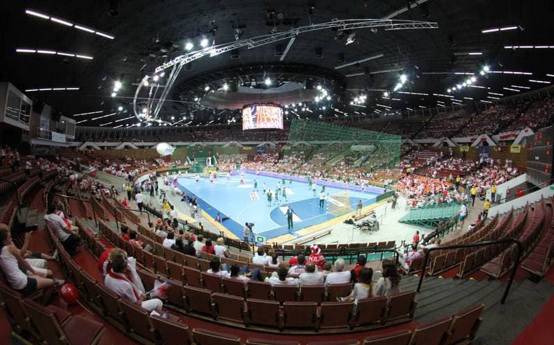Handball. World Championship Qualifiers. Poland - Lithuania. 17.06.2012