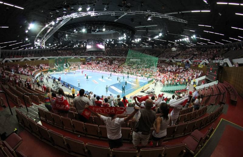 Handball. World Championship Qualifiers. Poland - Lithuania. 17.06.2012