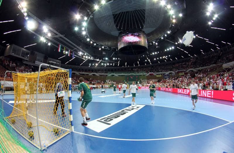 Handball. World Championship Qualifiers. Poland - Lithuania. 17.06.2012
