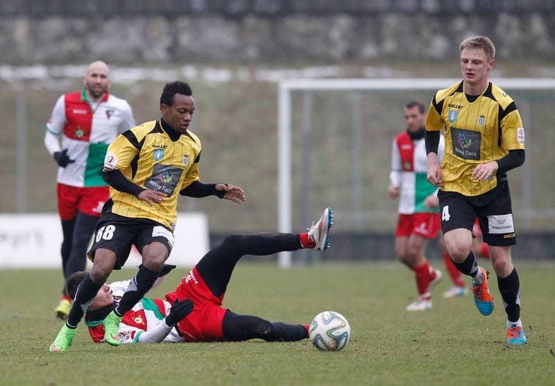 Football. Friendly Match. Zaglebie Sosnowiec - Sandecja Nowy Sacz. 25.02.2015