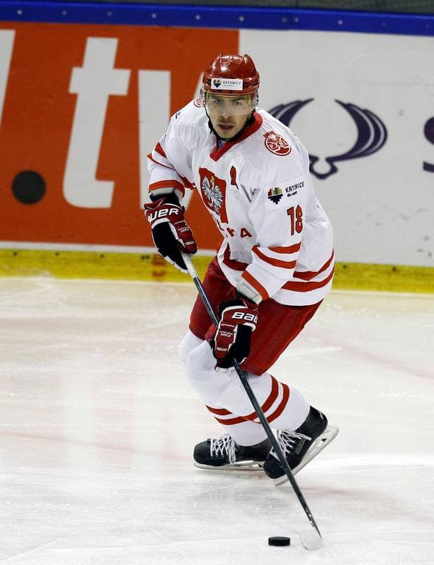 Ice Hockey. Euro Ice Hockey Challenge. Poland - Slovenia. 05.11.2015