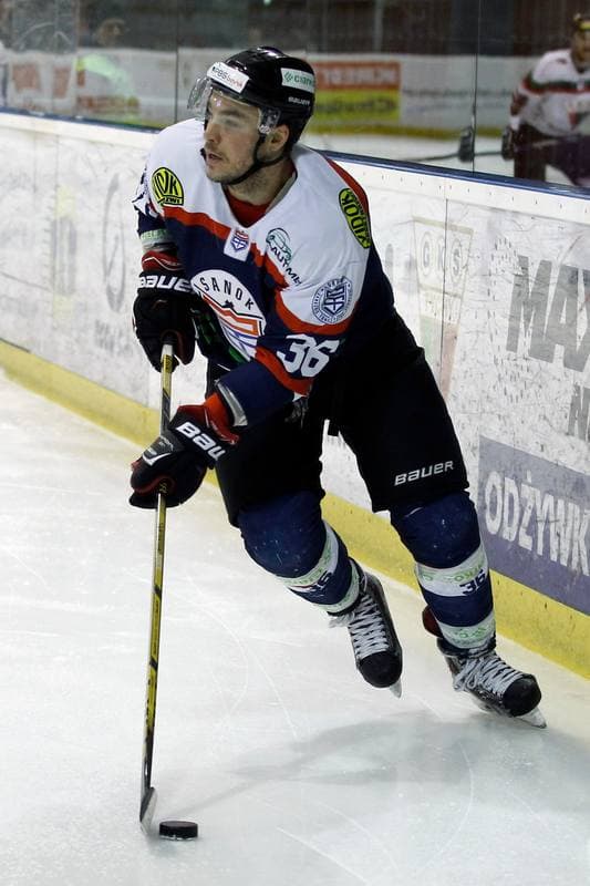 Ice Hockey. Polska Hokej Liga. GKS Tychy - Ciarko STS Sanok. 15.01.2016