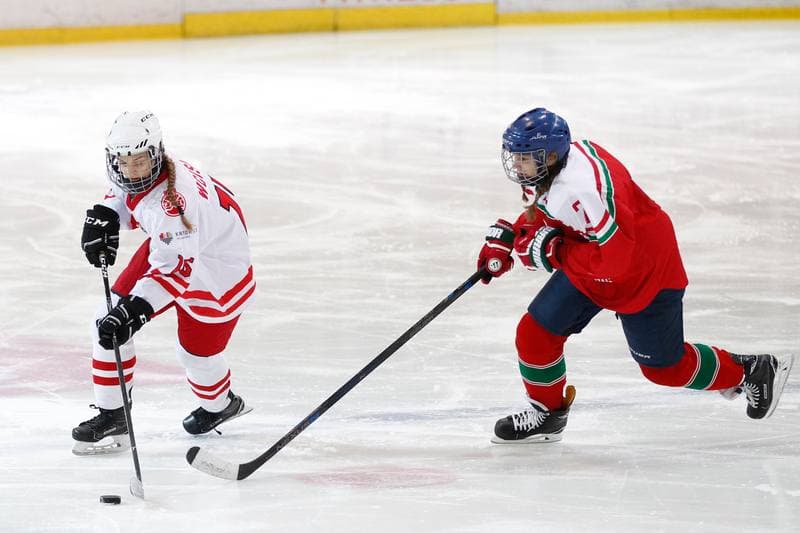 Ice Hockey. TCN. Poland - Hungary. 18.02.2018
