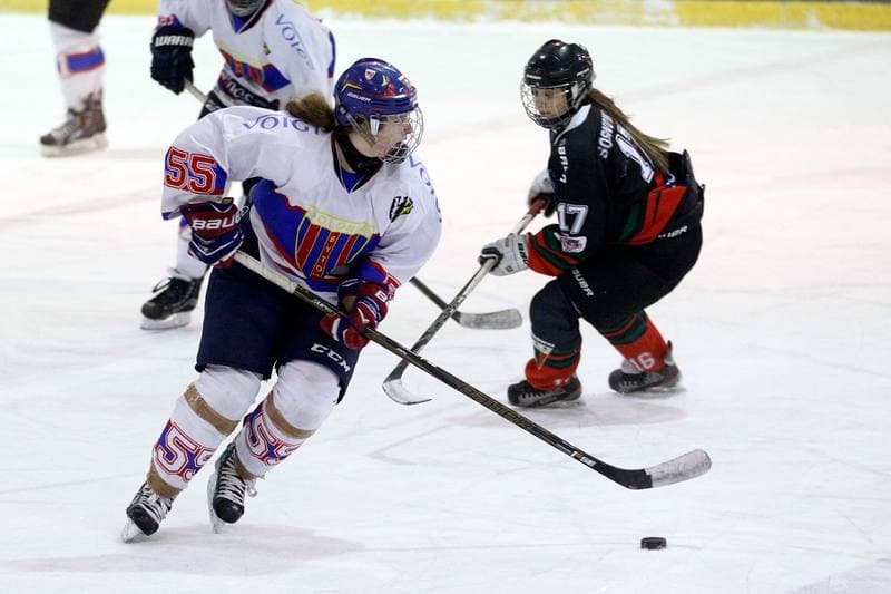 Ice Hockey. PLHK. Polonia Bytom - Atomowki Tychy. 27.01.2017