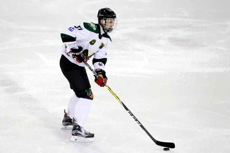 Ice Hockey. I Liga. Naprzod Janow - UKH Debica. 12.02.2017