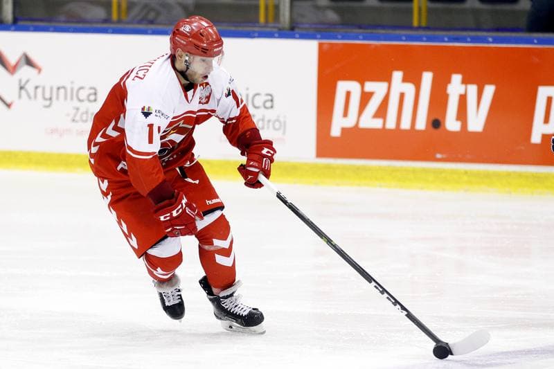 Ice Hockey. International Friendly Match. Poland - Slovakia B. 07.04.2017