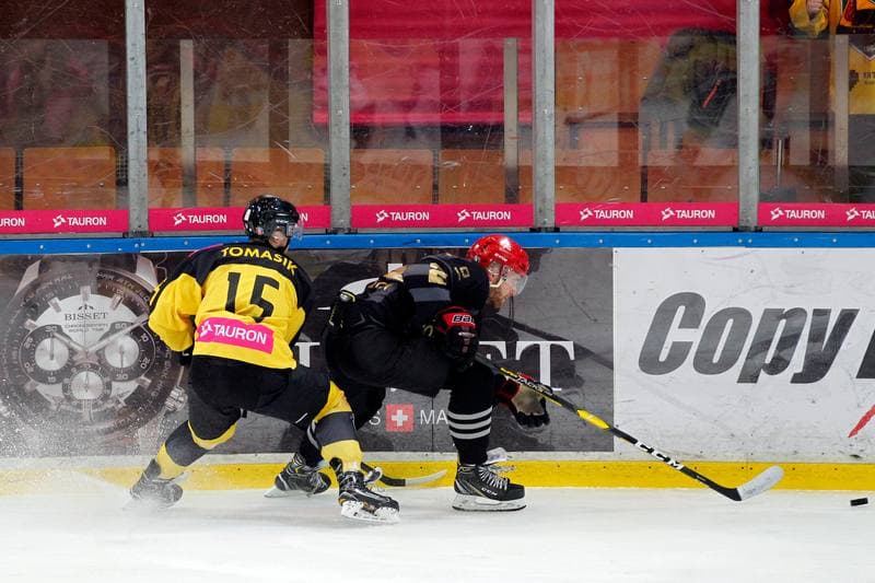 Ice Hockey. Tauron Hokej Liga. Tauron KH GKS Katowice - Comarch Cracovia. 17.01.2019
