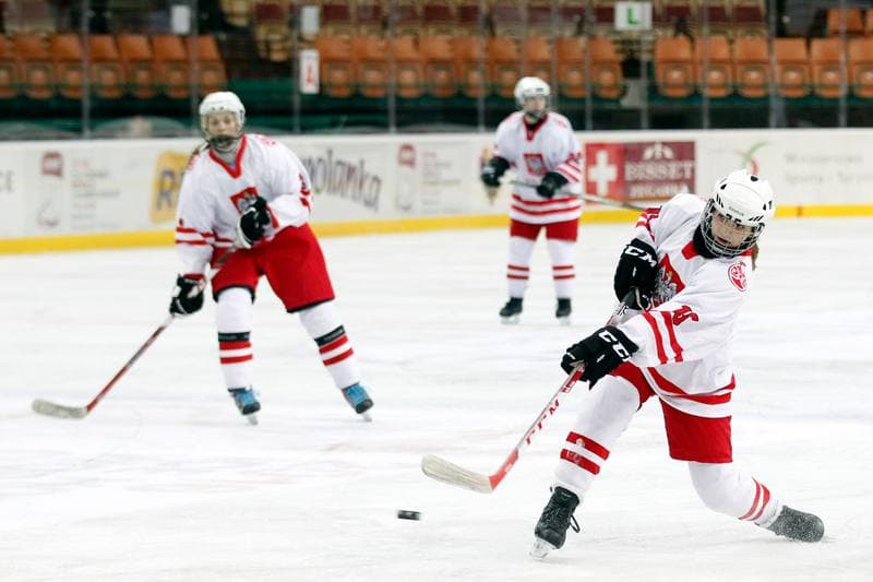 Ice Hockey. Women's Friendly Match. Poland - Hungary. 05.02.2016