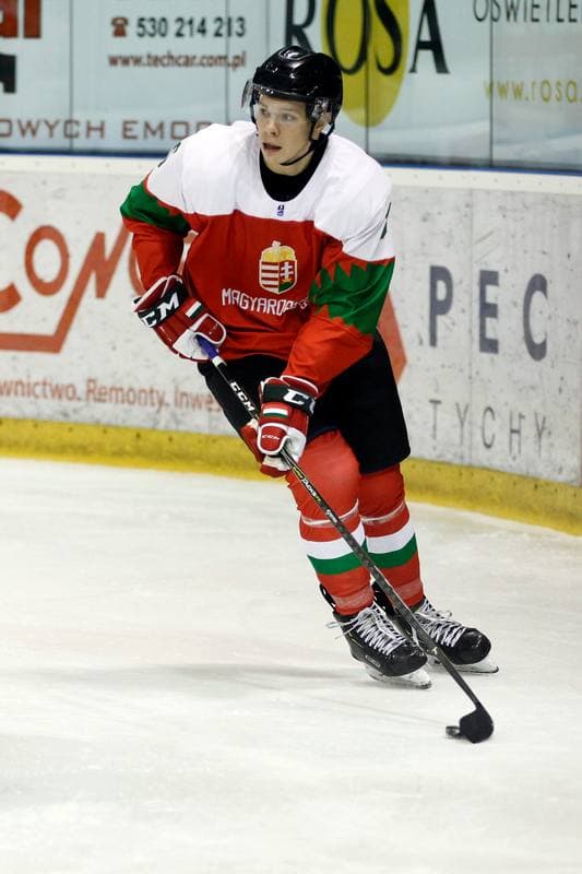 Ice Hockey. U20 World Championship Division I. Hungary - Ukraine. 09.12.2018