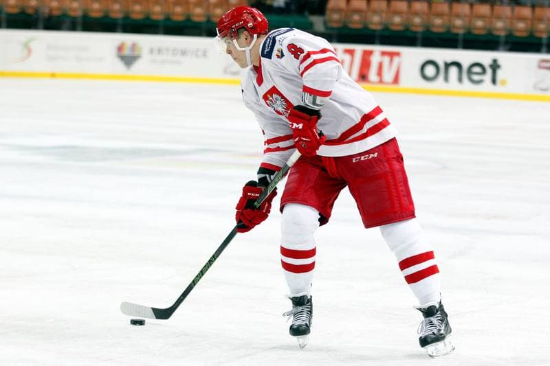 Ice Hockey. Friendly Match. Poland - Stars of PHL. 06.02.2016