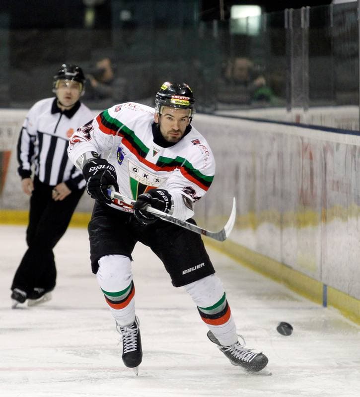 Ice Hockey. Tauron Hokej Liga. GKS Tychy - Polonia Bytom. 19.02.2016