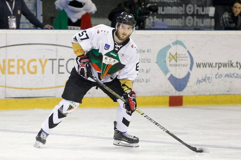 Ice Hockey. PHL. GKS Tychy - TatrySki Podhale Nowy Targ. 30.03.2019