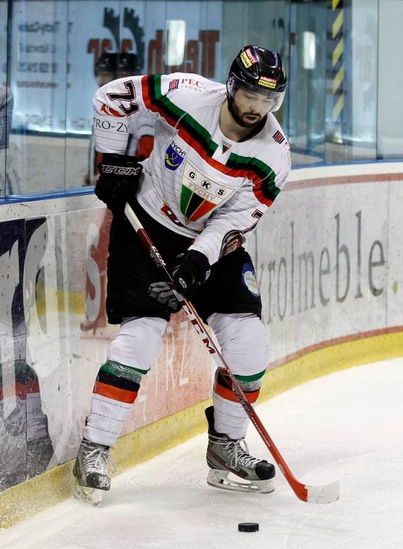 Ice Hockey. Polska Hokej Liga. GKS Tychy - Tatryski Podhale Nowy Targ. 29.02.2016