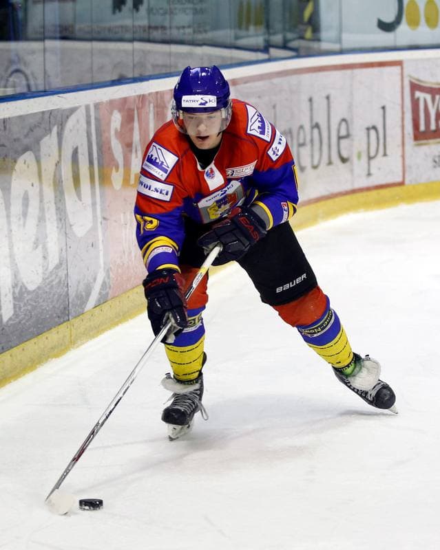 Ice Hockey. Polska Hokej Liga. GKS Tychy - Tatryski Podhale Nowy Targ. 01.03.2016