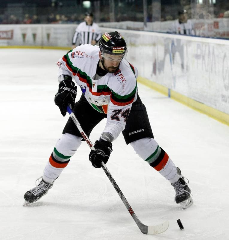 Ice Hockey. Polish Hockey League. GKS Tychy - Comarch Cracovia. 24.03.2016