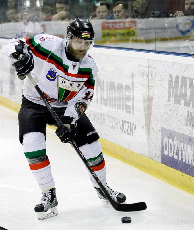 Ice Hockey. Polish Hockey League. GKS Tychy - Comarch Cracovia. 24.03.2016