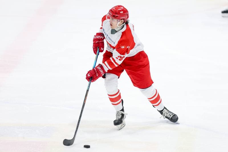 Ice Hockey. Friendly Match. Poland - Slovenia. 19.04.2024