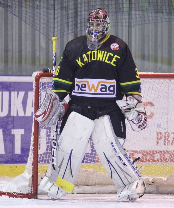 Ice Hockey. Polska Hokej Liga. Polonia Bytom - HC GKS Katowice. 31.10.2013