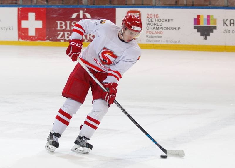 Ice Hockey. Poland national team. Training. 13.04.2016