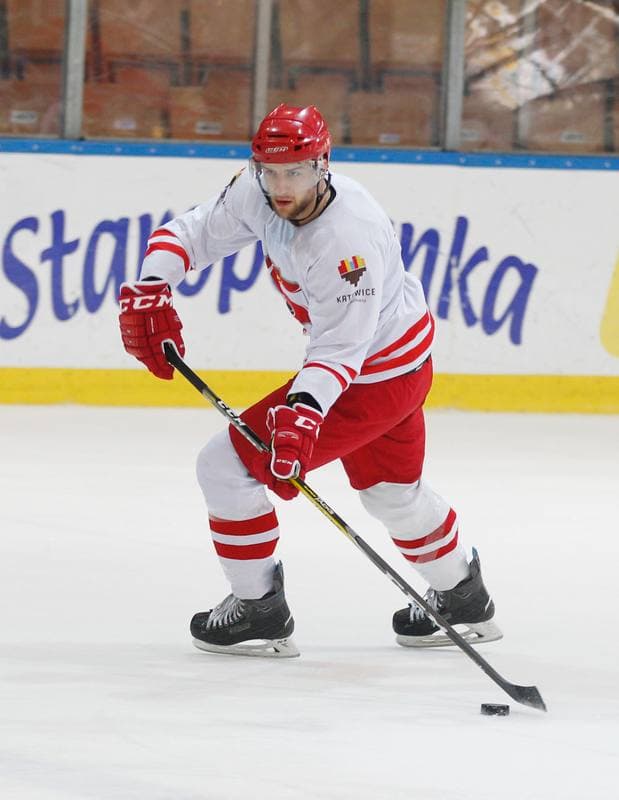 Ice Hockey. Poland national team. Training. 13.04.2016