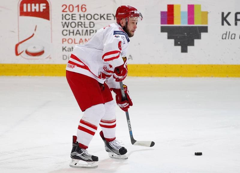 Ice Hockey. International Friendly Match. Poland - Lithuania. 14.04.2016