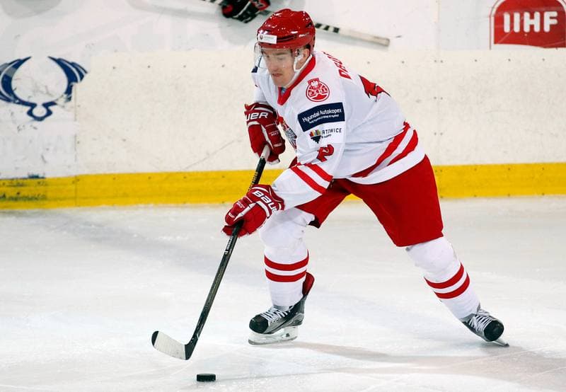Ice Hockey. International Friendly Match. Poland - Lithuania. 14.04.2016