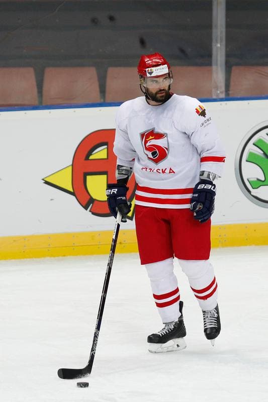 Ice Hockey. Poland national team. Training. 24.04.2016