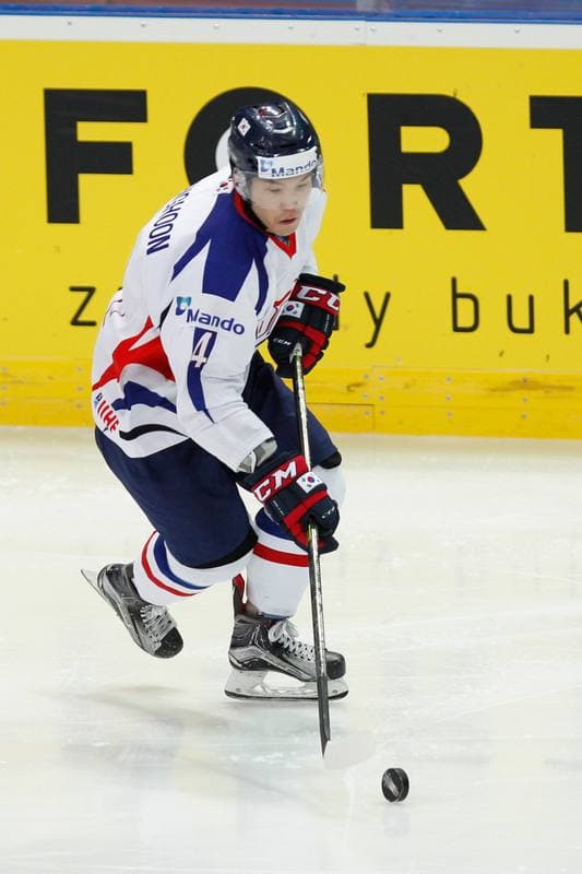 Ice Hockey. World Championship Division 1A. Italy - Korea. 29.04.2016
