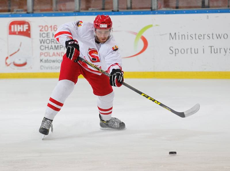 Ice Hockey. Poland national team. Training. 13.04.2016