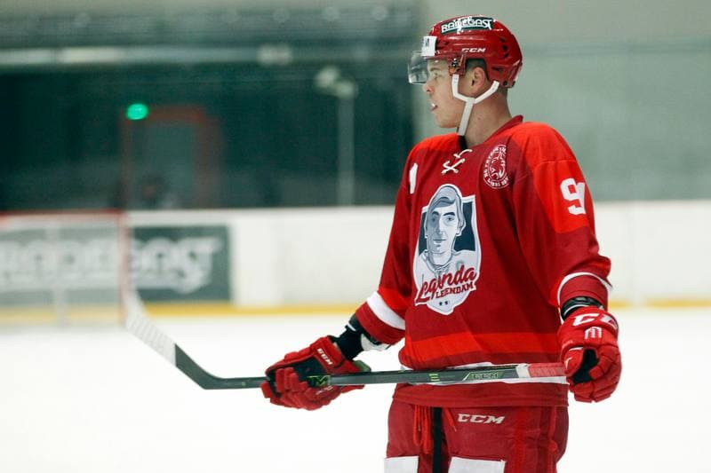 Ice Hockey. WSM Liga. HC Frydek-Mistek - HC AZ Havirov 2010. 30.01.2017
