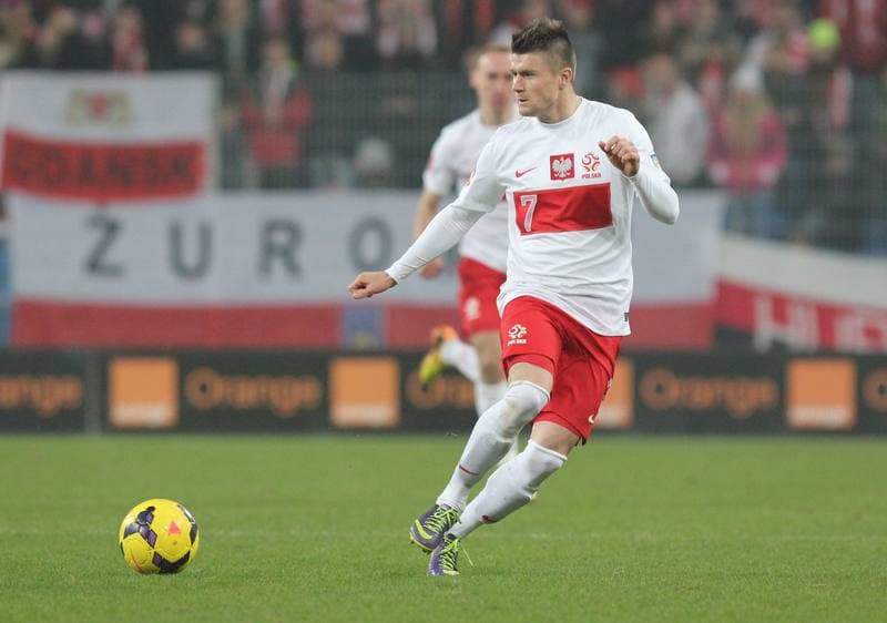 Football. International Friendly. Poland - Slovakia. 15.11.2013