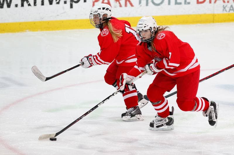 Ice Hockey. International Women's Friendly Match. Poland - Hungary. 18.01.2014