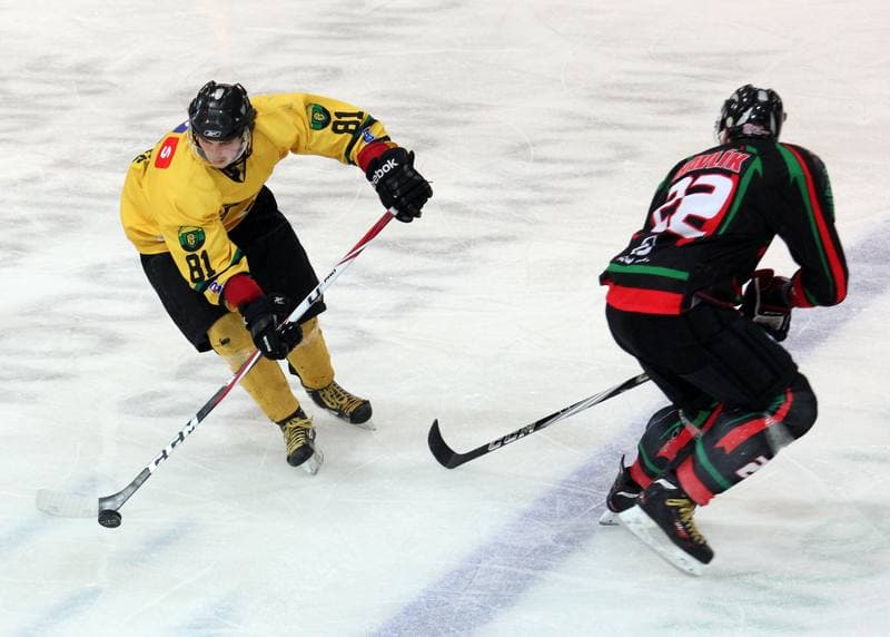 Ice Hockey. Polska Hokej Liga. HC GKS Katowice - GKS Tychy. 04.10.2013